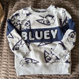 Character sweater- Bluey